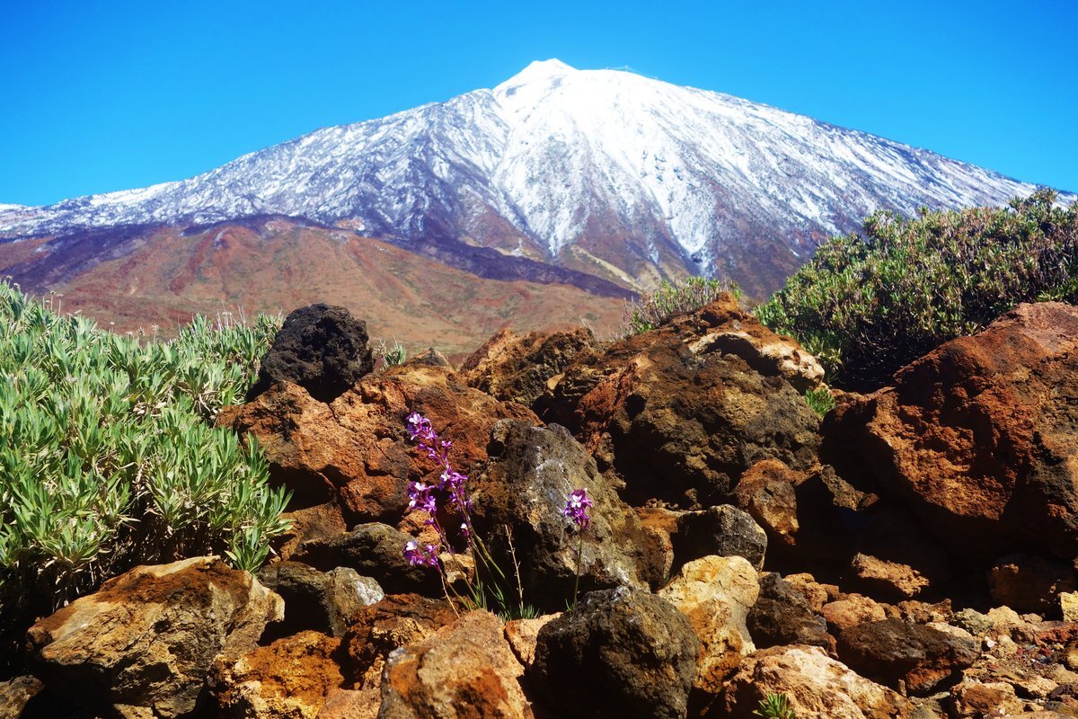 Фото из интернета. Вулкан Тейде