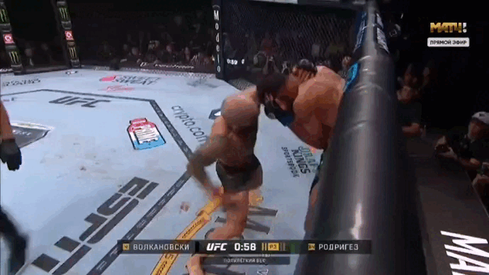 Волкановский против Родригеса