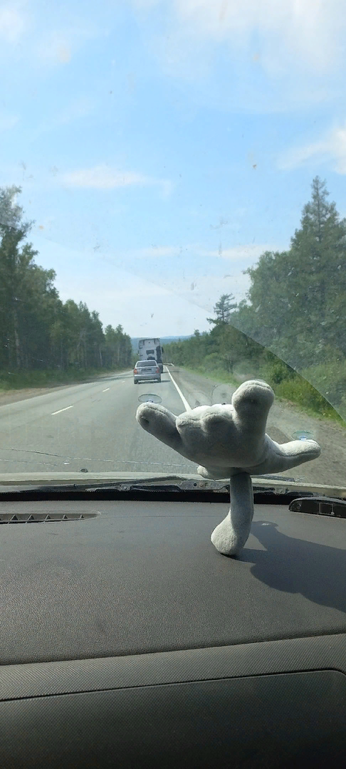 Стекло треснула, как-то нам прилетел камень из под встречки