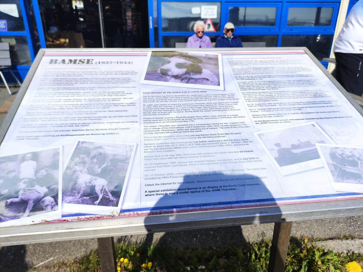 История про Бамси и его фото.