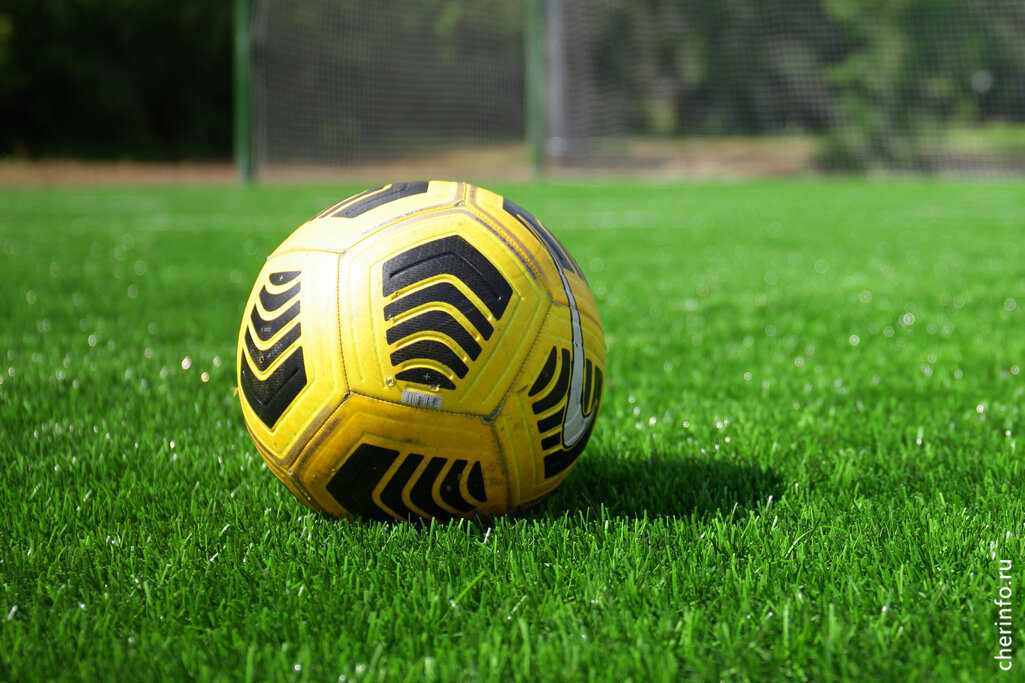    До конца лета на восьми городских стадионах будут проходить показательные выступления игроков ФК "Череповец".