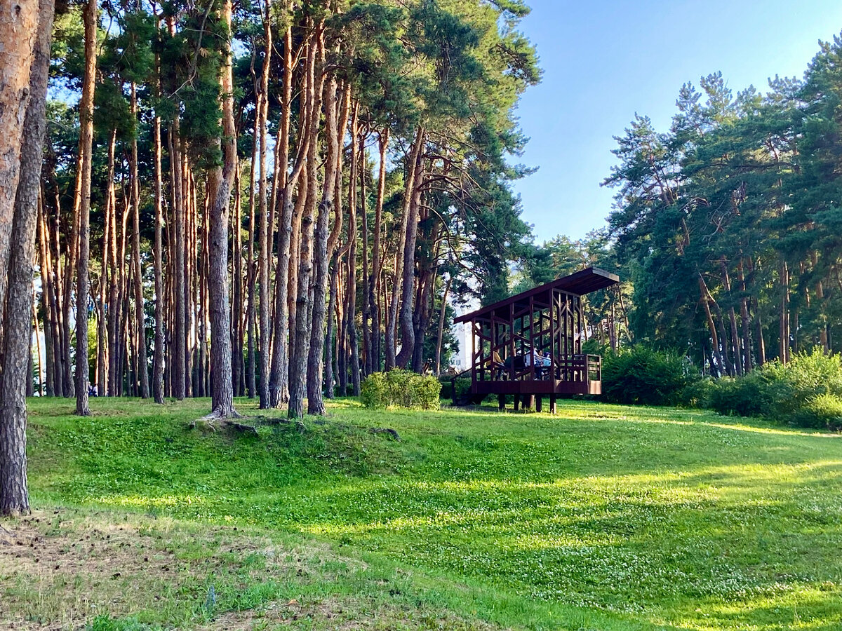 Левый берег Воронежа глазами француза. Парк 