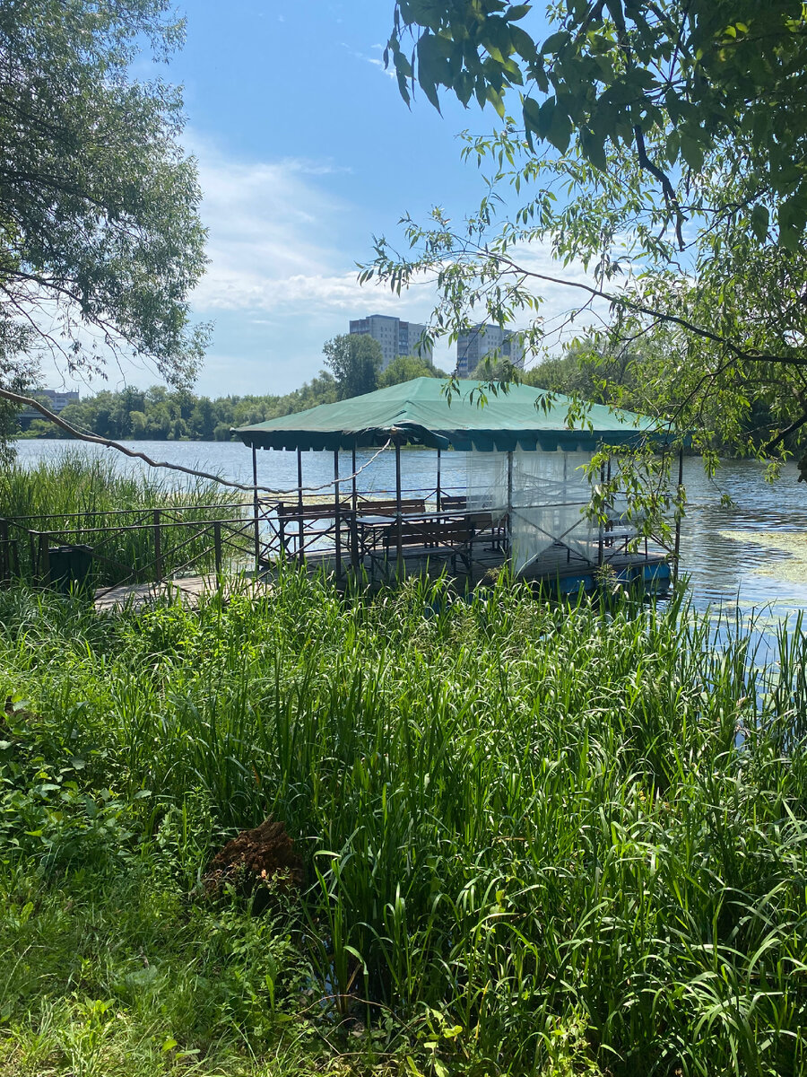 городской пляж в курске