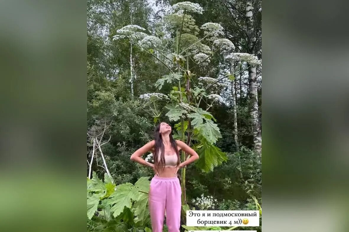 фото: соцсети
