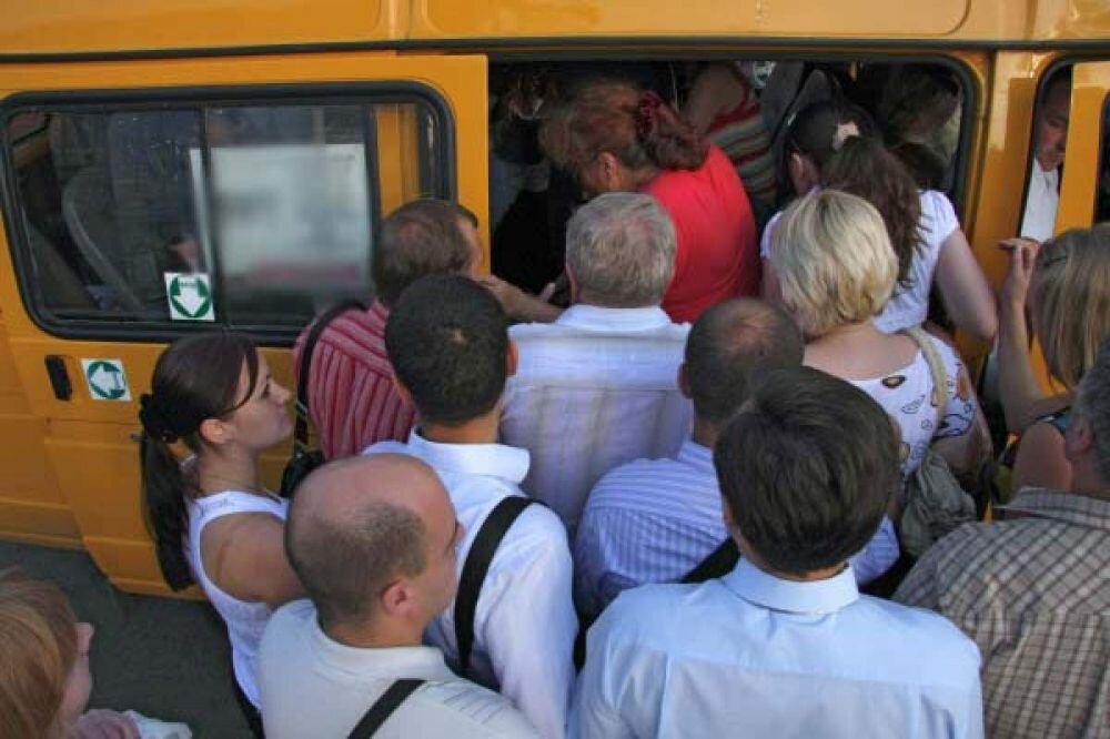 Фото взято из Яндекса.