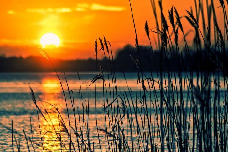 Фото: Pixabay