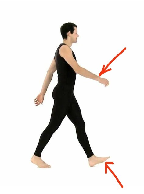 В этом шаге одновременно сокращаются мышцы левой ноги и правой руки. 