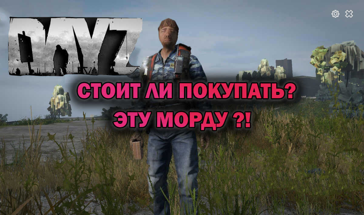 DAYZ - стоит ли покупать в 2024 году? Детальный обзор самой лучшей онлайн  игры про выживание. Честный обзор! | EvgeniusPlay - Все новости Мира танков  | Дзен