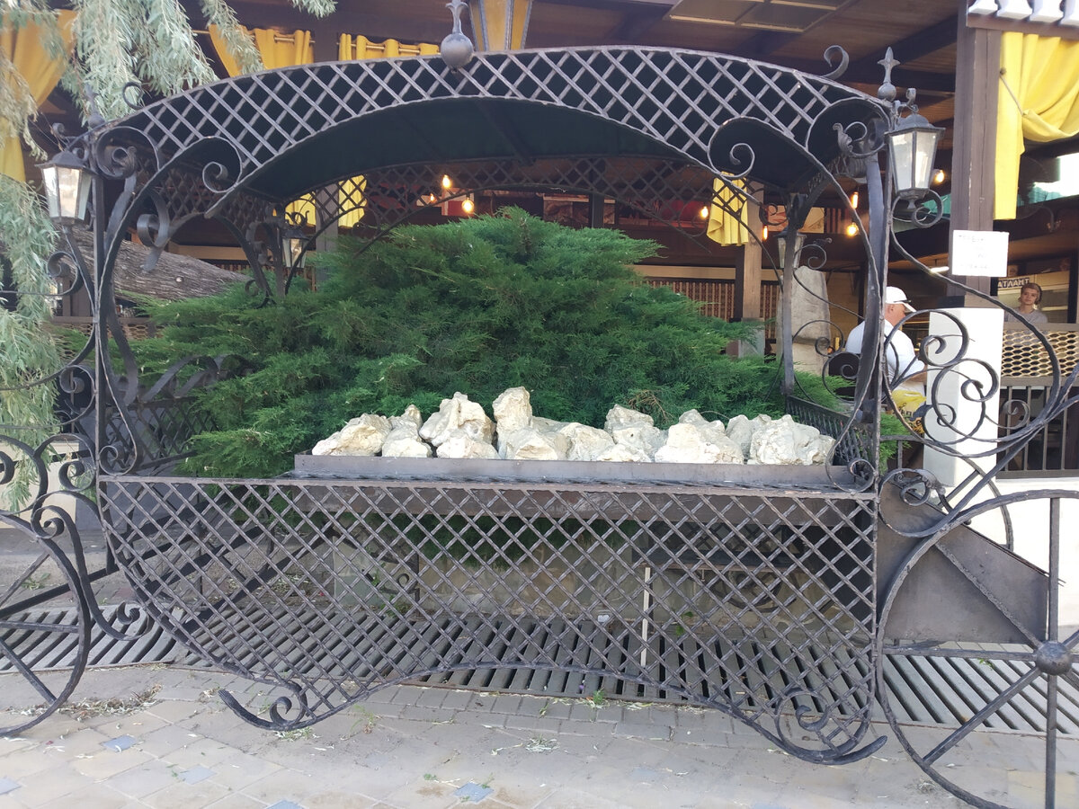 Фото автора публикации