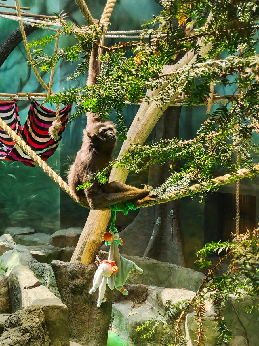 Думает наверное о чем-то 😁