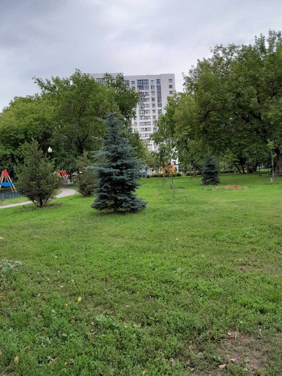 МОСКВА. СКВЕР ИМЕНИ ФЁДОРА ПОЛЕТАЕВА. ЭКСКУРСИЯ ДЛЯ ВАС | Творю, пишу,  путешествую | Дзен