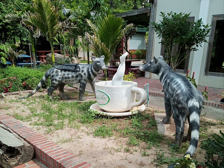 Циветы приглашают отведать кофе