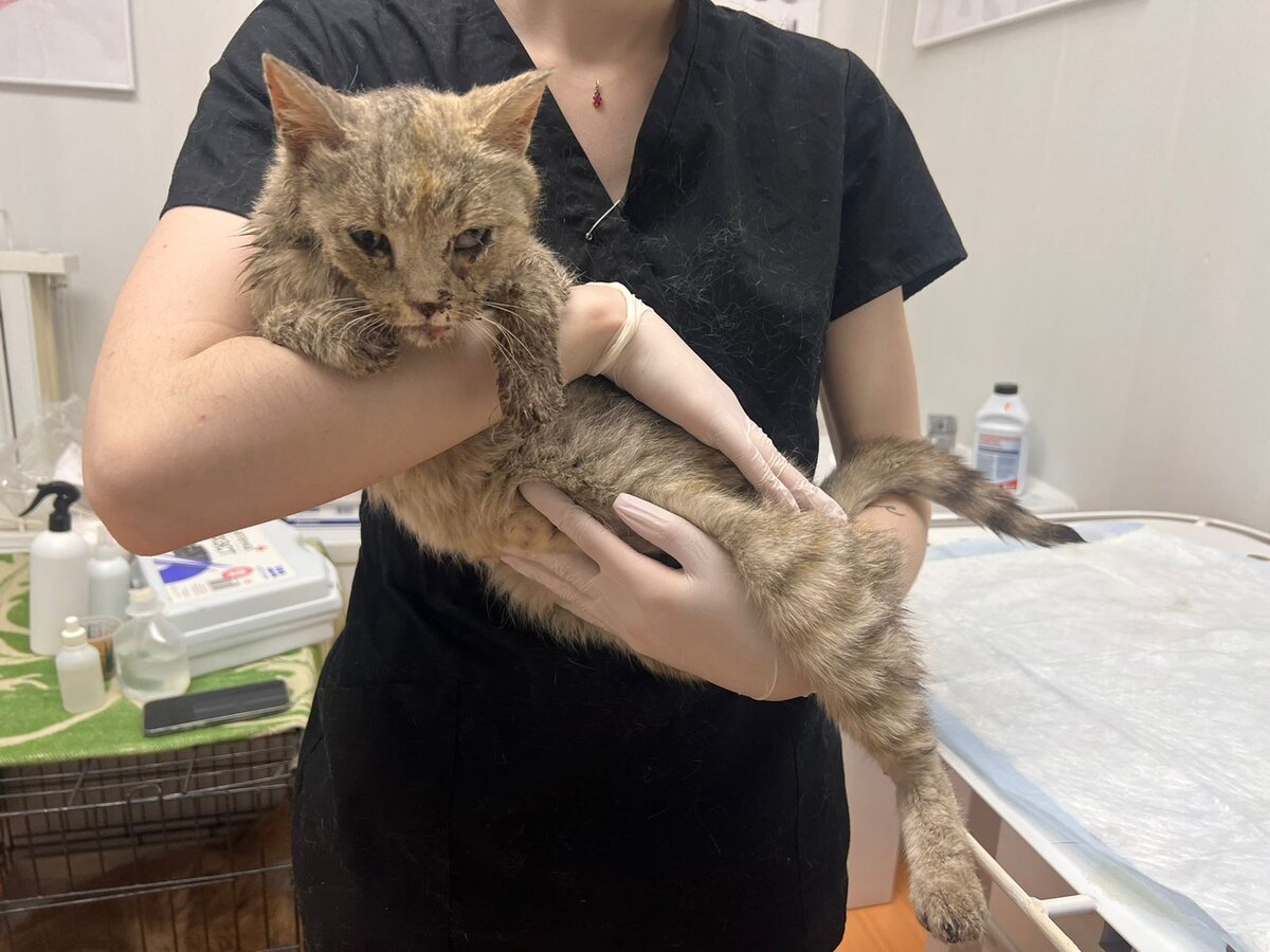 Малышке совсем плохо