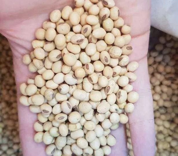 3 доступных продукта для снижения риска рака простаты и атеросклероза, о которых мало кто знает