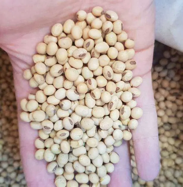 3 доступных продукта для снижения риска рака простаты и атеросклероза ...