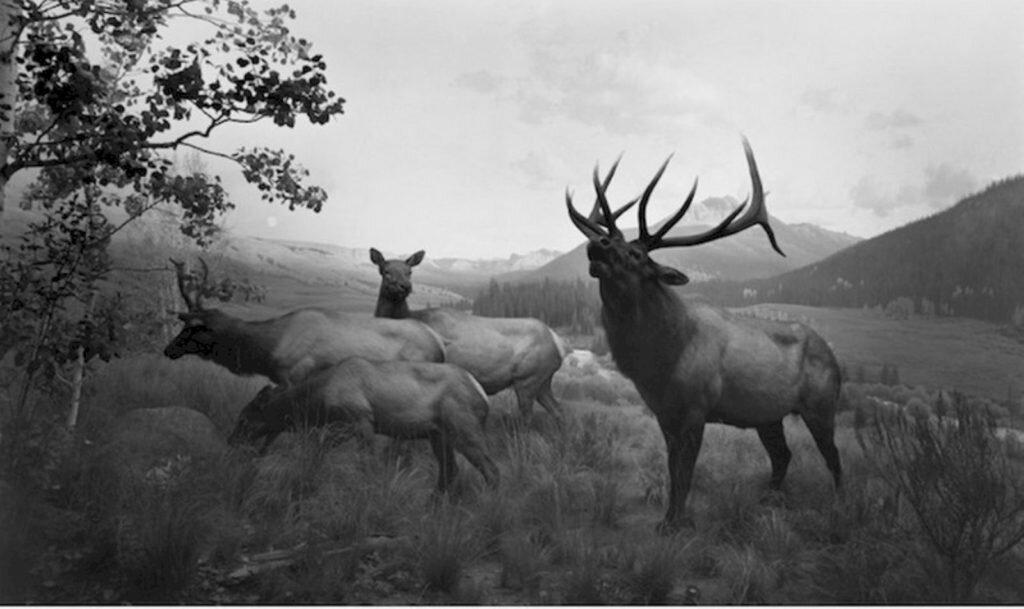    Фото: Hiroshi Sugimoto