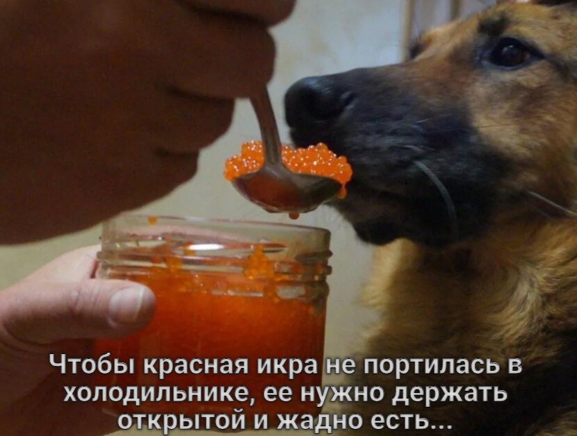 С нашим днем любимый картинки