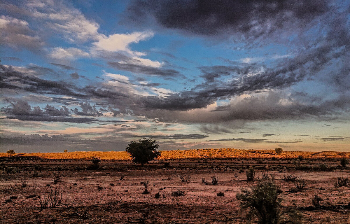 Полупустыни температура летом и зимой. Саванна Калахари. Ботсвана пустыня Калахари. Пустыня Калахари климат. Полупустыня Калахари.