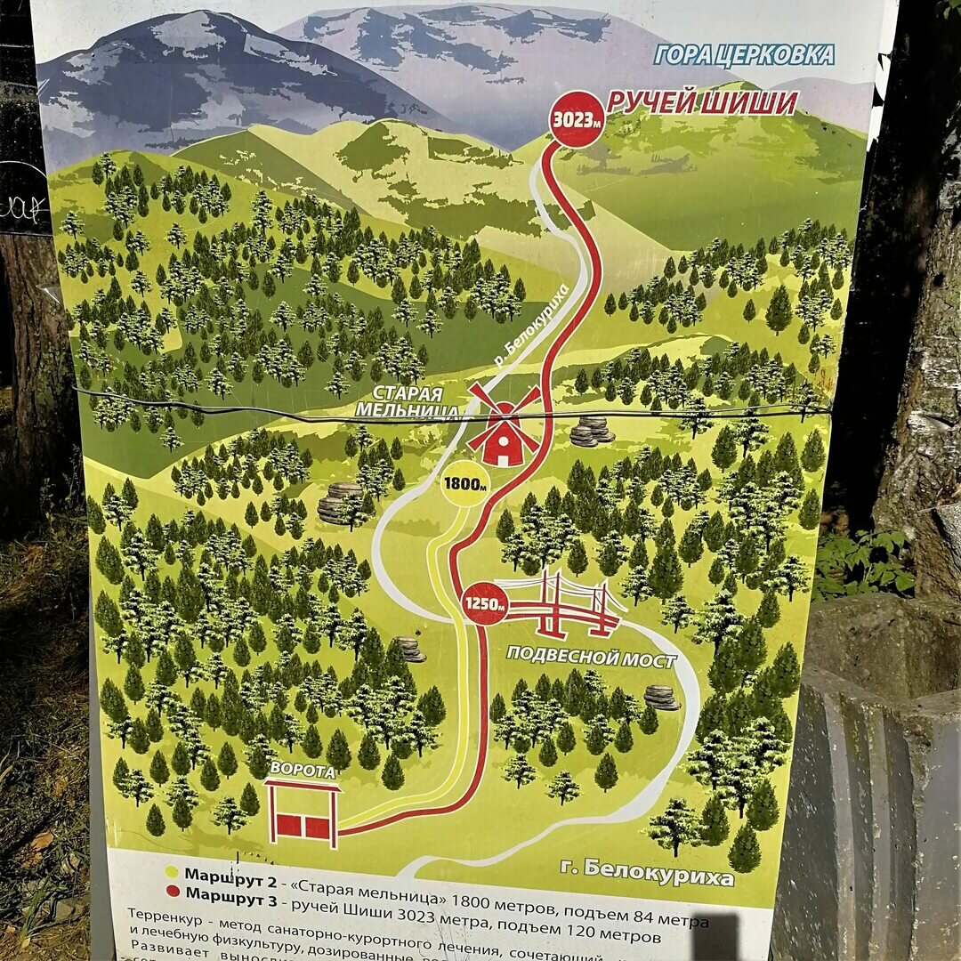 Фото с просторов интернета