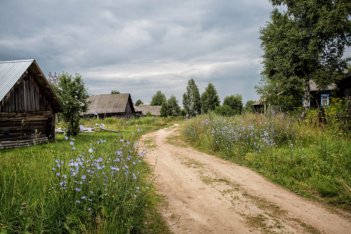 Покажи фото деревни светицы