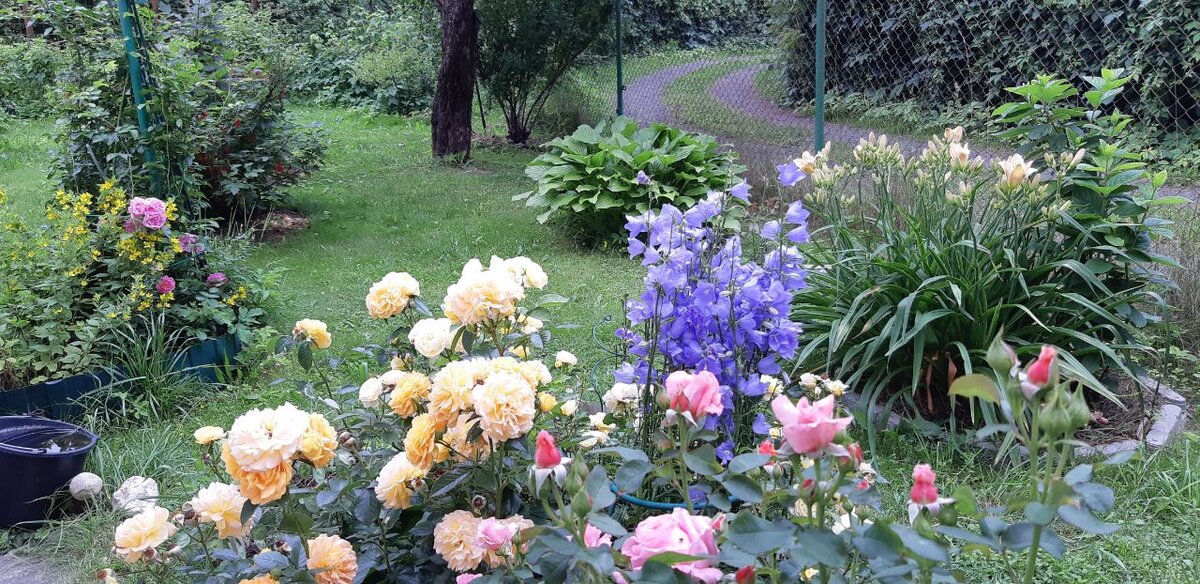 Фото цветочных клумб будут радовать длинными зимними вечерами