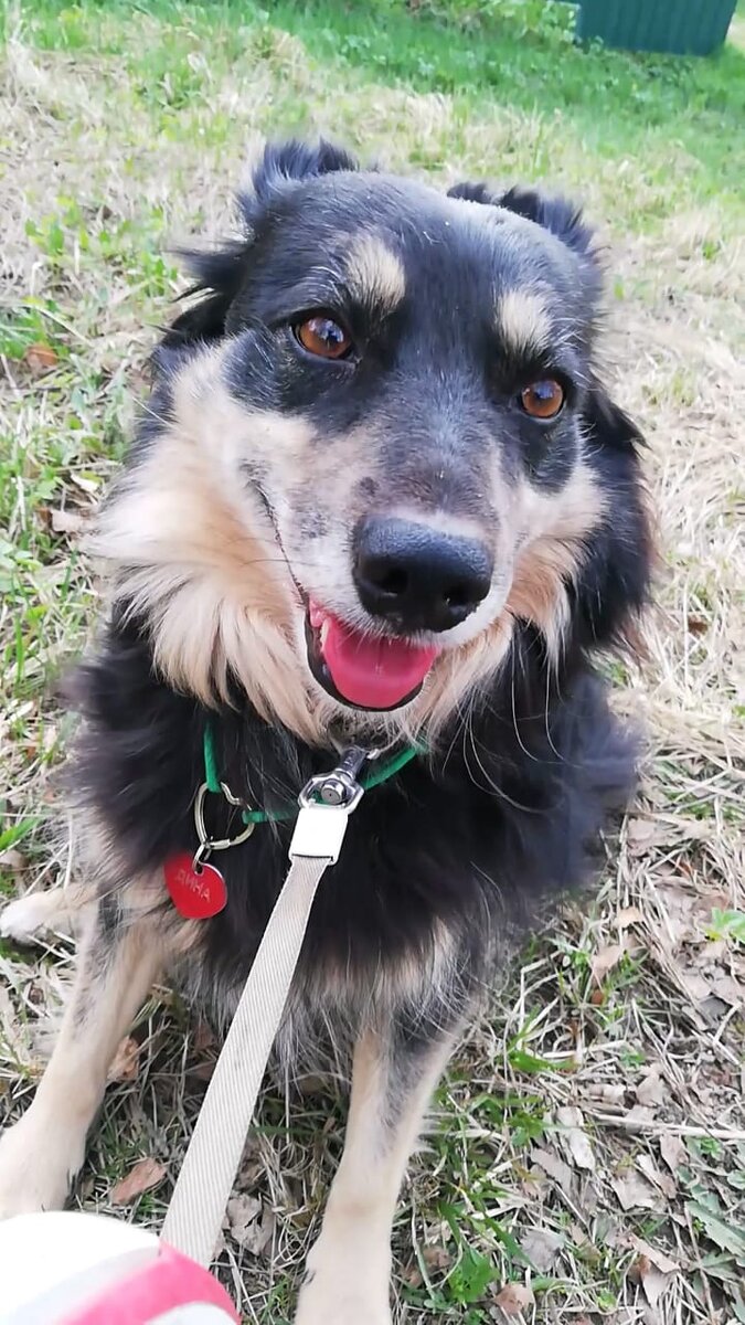 Динулька ❤️