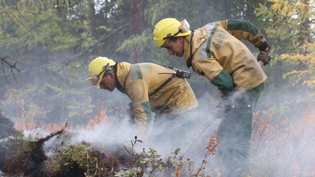    Лесные пожарные остановили распространение огня рядом с деревней в Сургутском районе