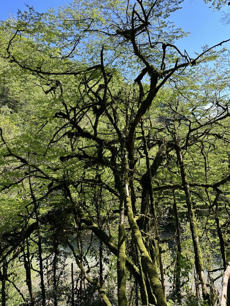 Сочи 30 лет назад фото