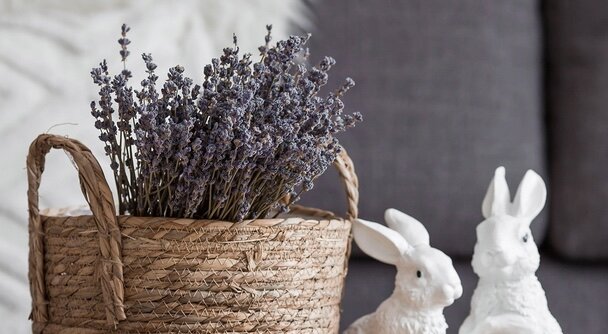 Фото из фотобанка Лори 