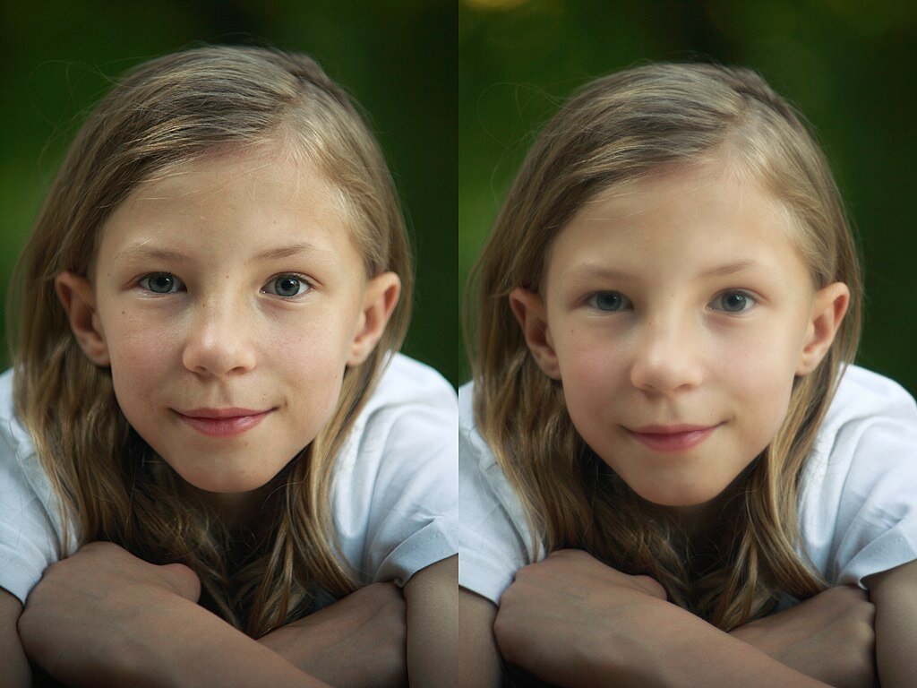    Фото до и после софт-фильтра / Фото: wikimedia.org