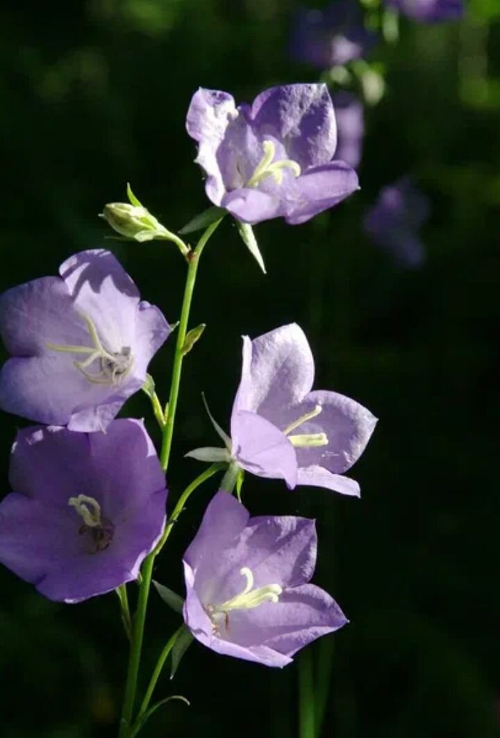 Фото из открытого доступа.
