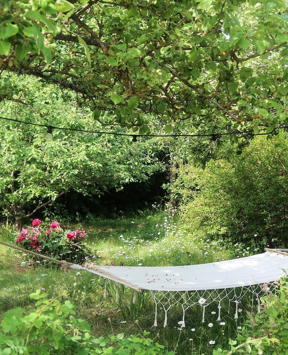    Соцсети блогера gubbetorp