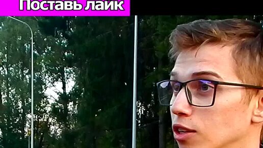 Говорим об образовании | Литература - кто написал Собачье Сердце | Дзен