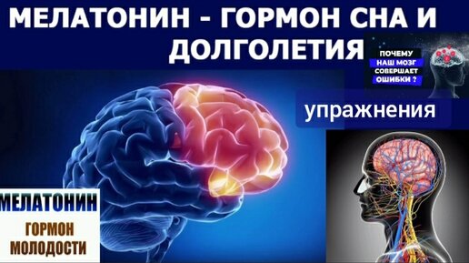 Мозг деградирует и ускоренно стареет из-за нехватки мелатонина. Помогут упражнения для глаз и средней мозговой артерии