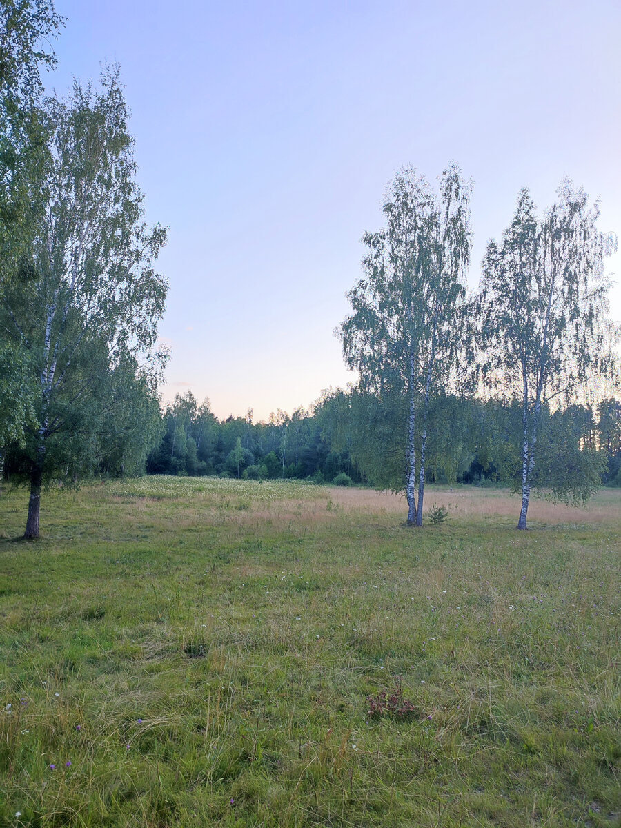 Все фото автора . Примерно в этом месте мы гоняли мяч, а взрослые жарили шашлыки