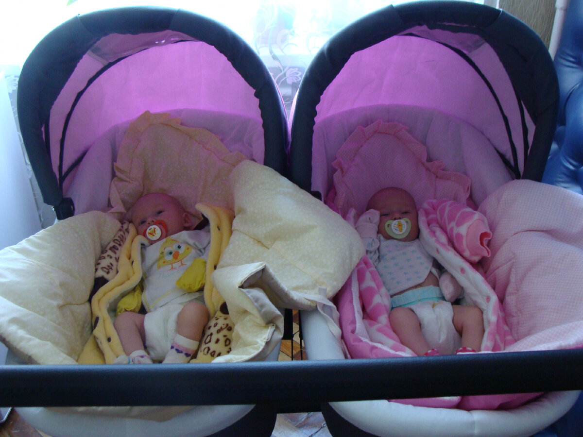 Поднимаем рождаемость. Уж простите, что не тройня. Но это почти "успешный успех" 😏