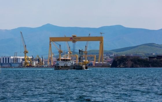     Фото: ССК «Звезда»