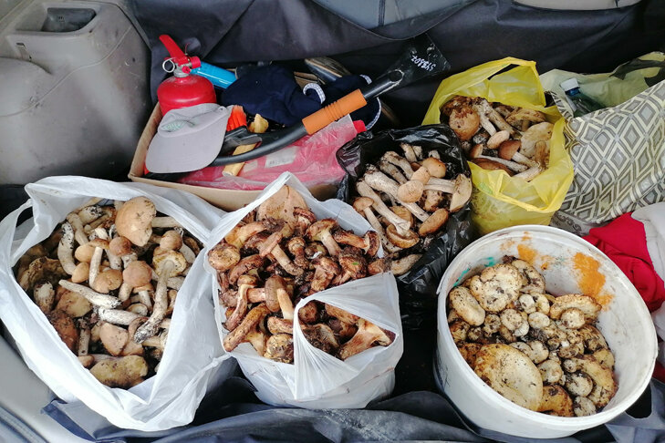 © Фото Кристины Теленковой.📷
