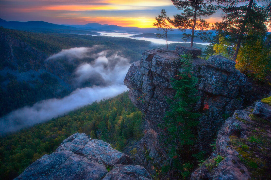 Фото Яндекс картинки