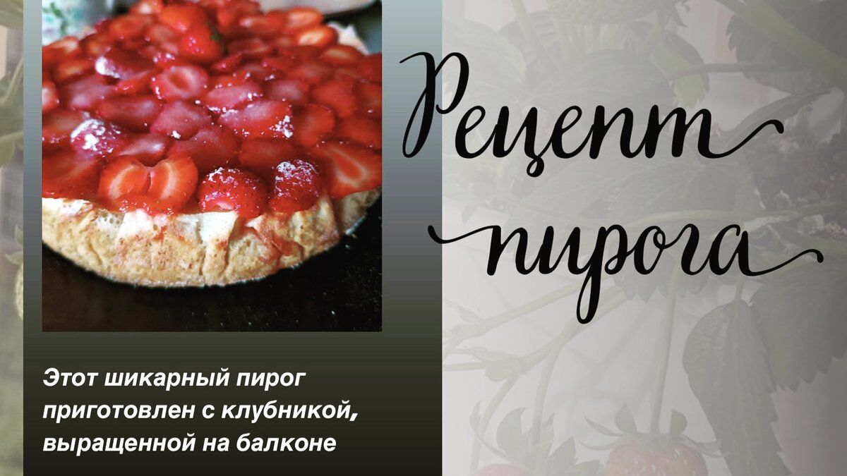 Пирог с клубникой, выращенной на своем балконе. Приготовлен участницей проекта «Клубника на балконе»