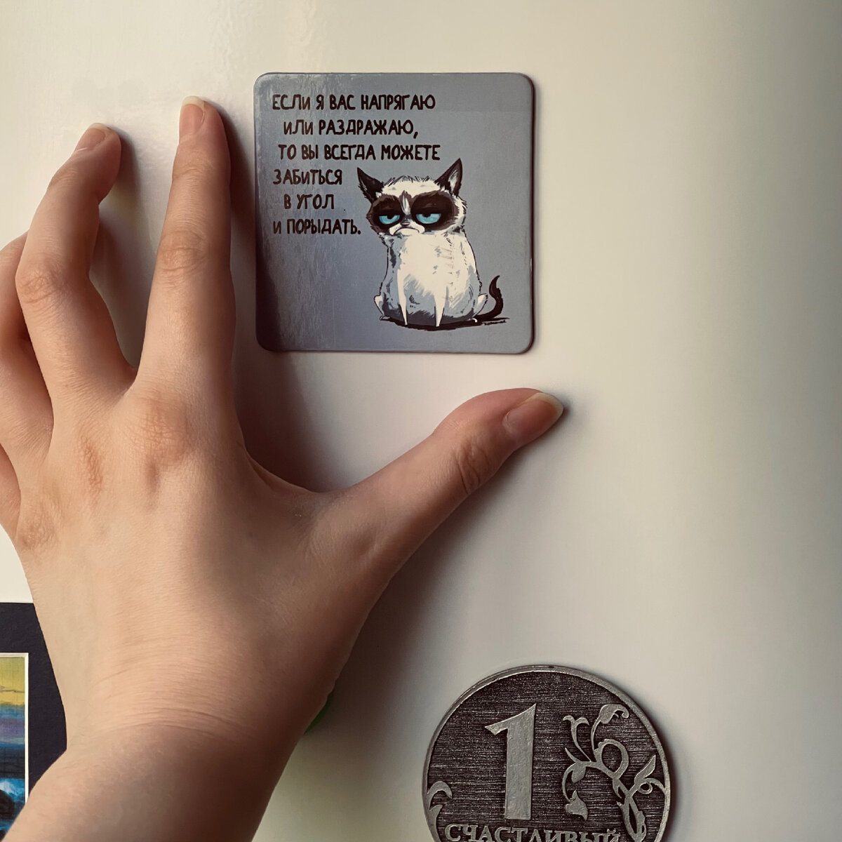 Один из самых ценных магнитов