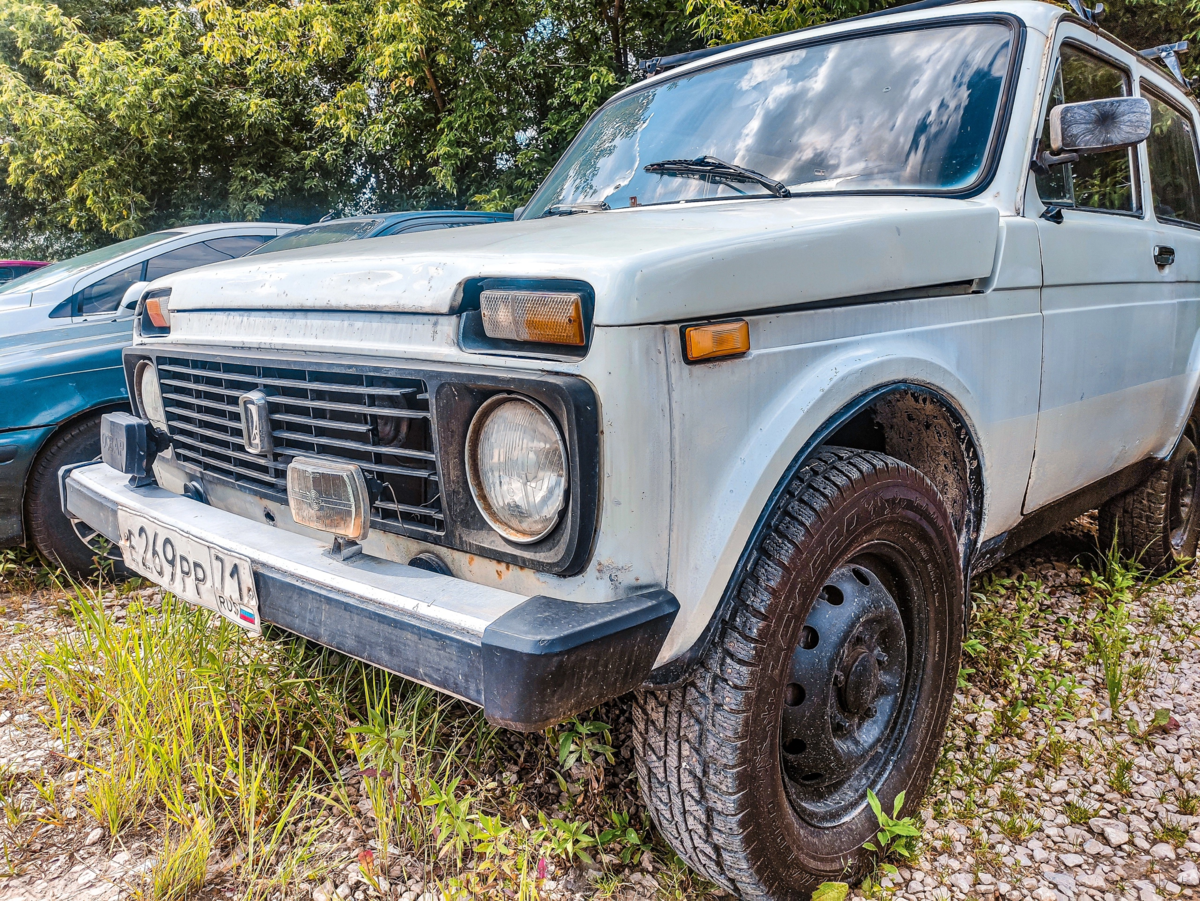 Сейчас на рынке б/у авто за Ниву просят от 100 до 900 тысяч рублей, разброс нехилый