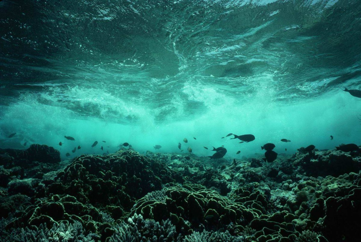 Дно черного моря без воды фото