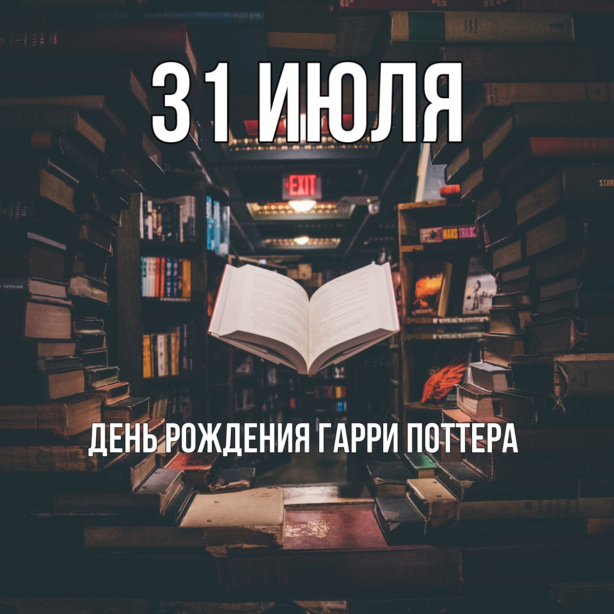 Сливочного пива и зрелищ! Сегодня празднуют день рождения Гарри Поттера |  Большое Радио | Дзен