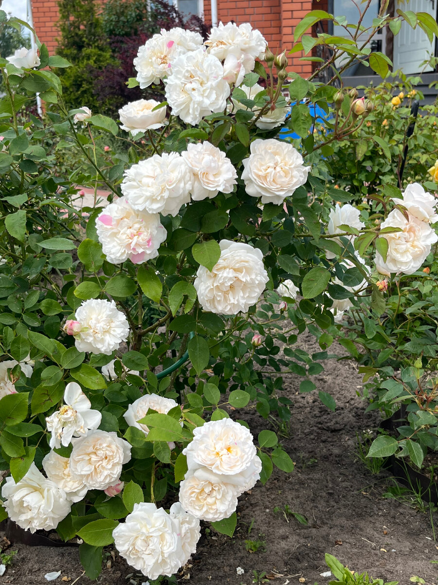 Winchester Cathedral