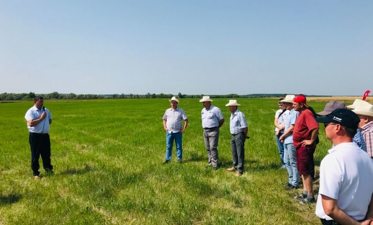     Какие сорта твердой пшеницы интересны для аграриев Пензенской области

