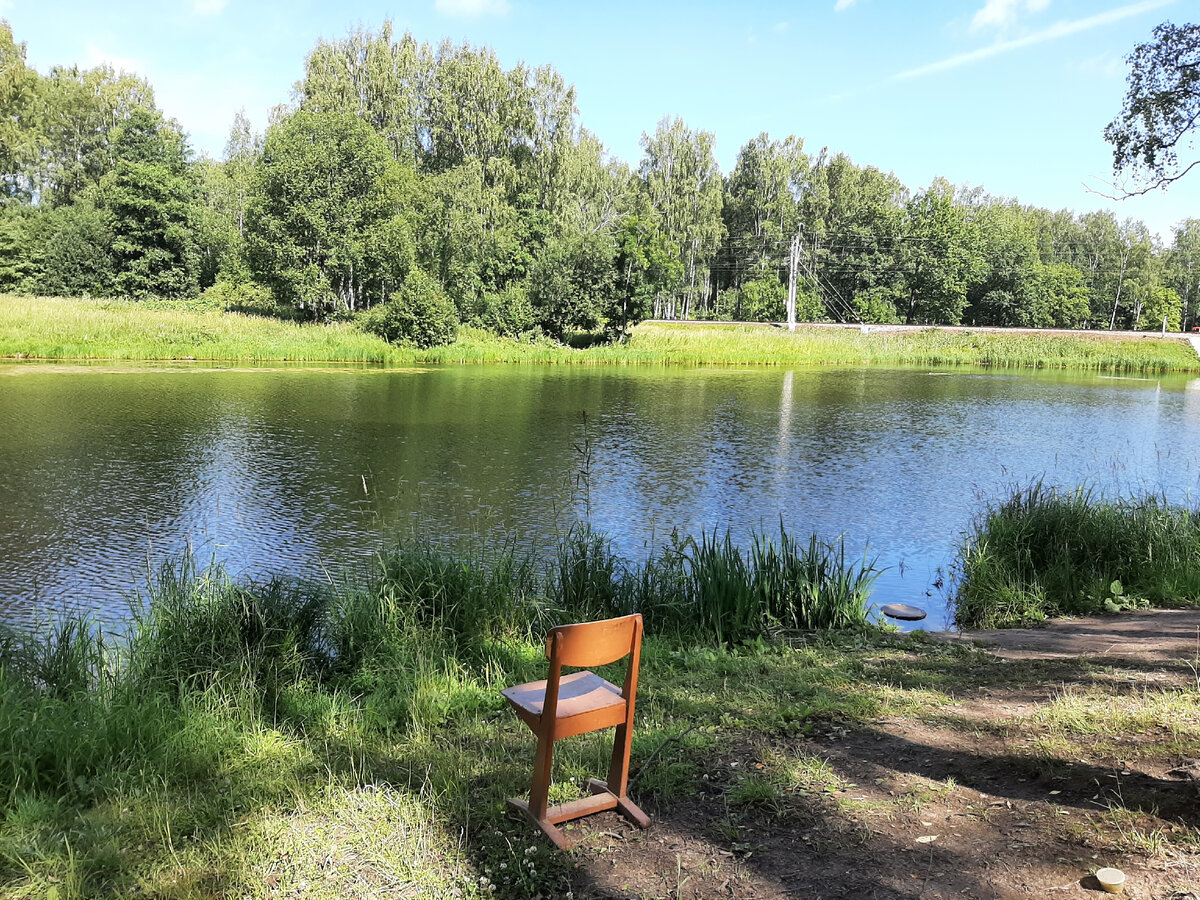 английский парк в петергофе