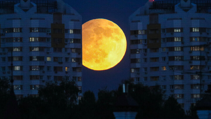 ФОТО: BULKIN SERGEY/NEWS.RU/GLOBALLOOKPRESS