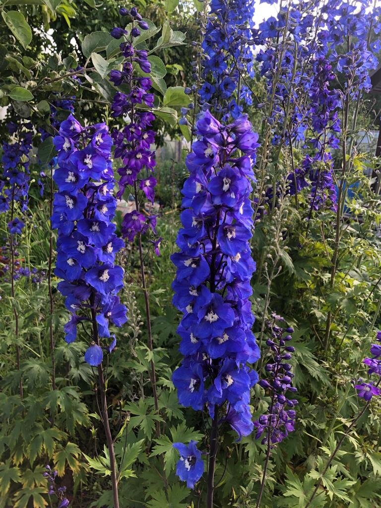 Фото моих друзей