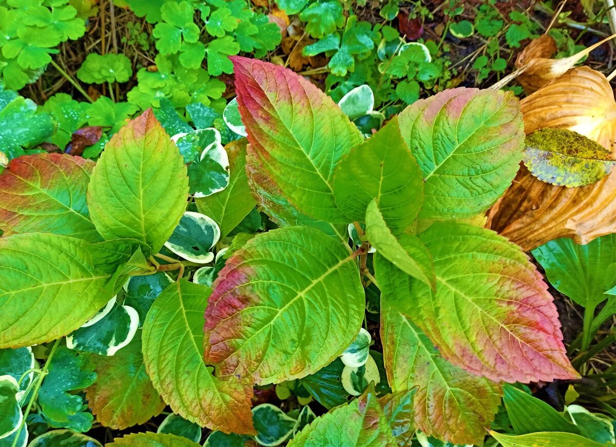 взято из открытых источников